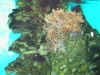 105-0504_IMG.JPG (38662 bytes)